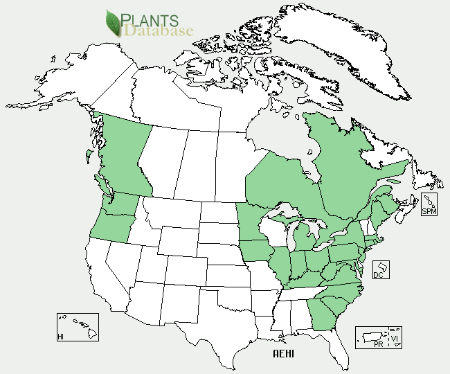 The range of Aesculus hippocastanum